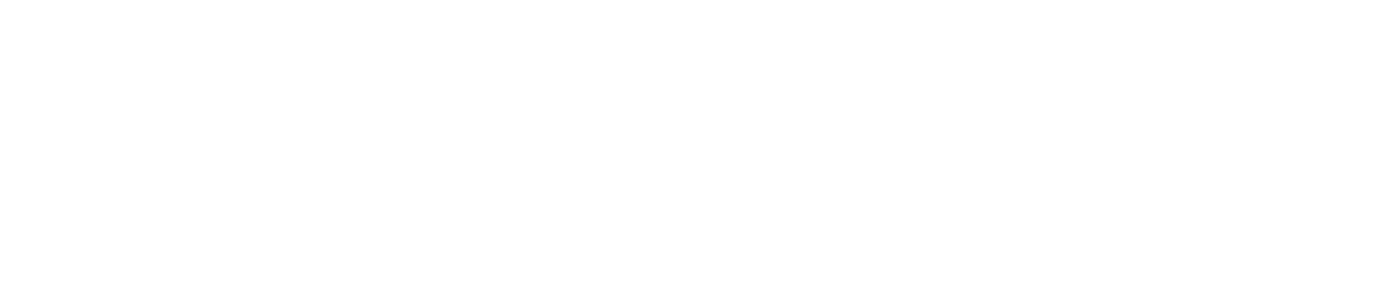 plazboticon